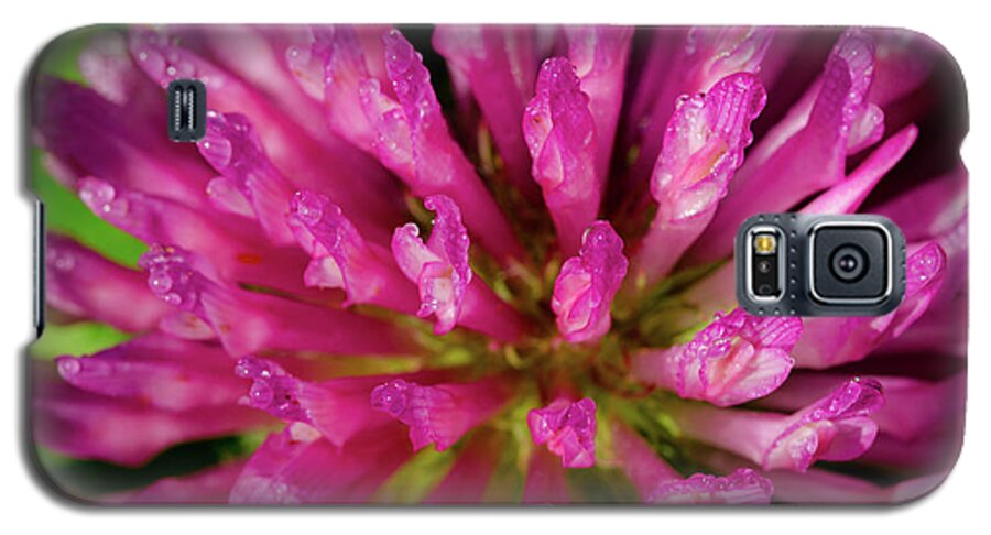 Flower Galaxy S5 Case featuring the photograph Red Clover Flower by Jeff Phillippi