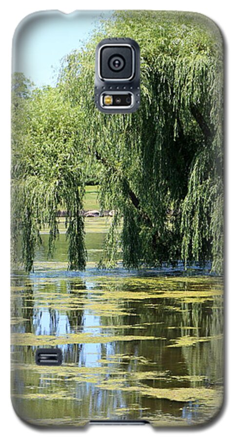 Garden Waters Galaxy S5 Case featuring the photograph Reflections from Mother Willow by Colleen Cornelius