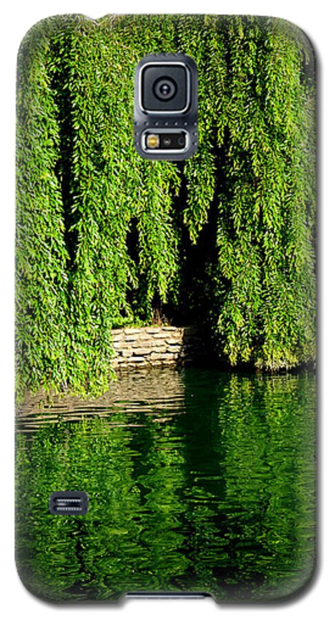 Weeping Willow Galaxy S5 Case featuring the photograph Reflections by Mike McBrayer