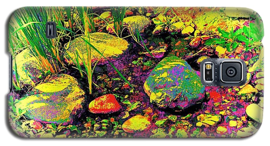 Rocks And Reeds Galaxy S5 Case featuring the photograph Rocks and Reeds by Debra Grace Addison