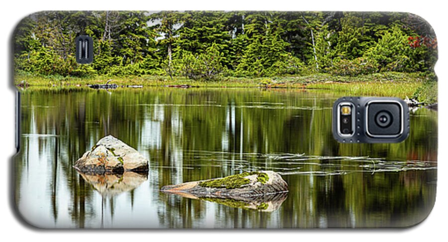 Landscapes Galaxy S5 Case featuring the photograph Rocks In A Mountain Pond by Claude Dalley