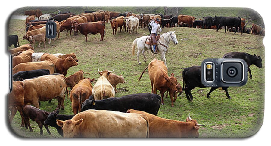 Cattle Galaxy S5 Case featuring the photograph Rodear Branding by Diane Bohna