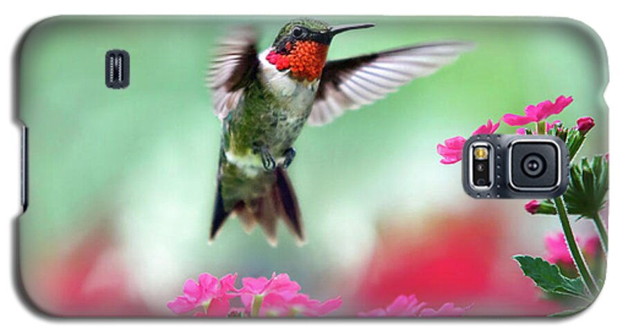 Hummingbird Galaxy S5 Case featuring the photograph Ruby Garden Jewel by Christina Rollo