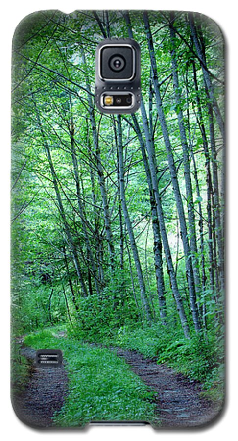 Forrest Galaxy S5 Case featuring the photograph Shadow Mountain Road by Rich Collins