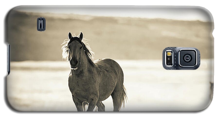Wild Horses Galaxy S5 Case featuring the photograph Silver by Mary Hone