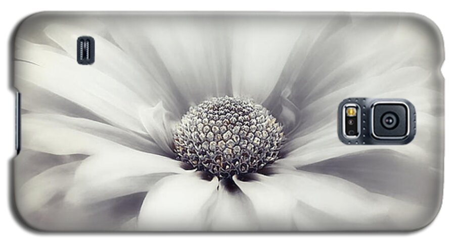 Nature Galaxy S5 Case featuring the photograph Simplicity Series 4 Jubilee by Darlene Kwiatkowski