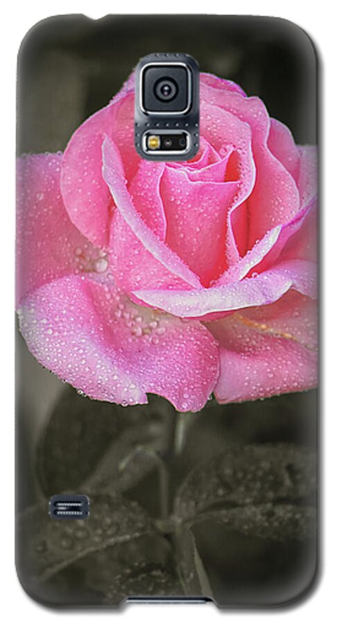Roses Galaxy S5 Case featuring the photograph Smells Just As Sweet by Elaine Malott