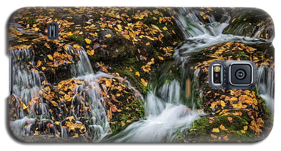 2000-2019 Complete Portfolio Galaxy S5 Case featuring the photograph Smokey Mountain Falls by Doug Sturgess