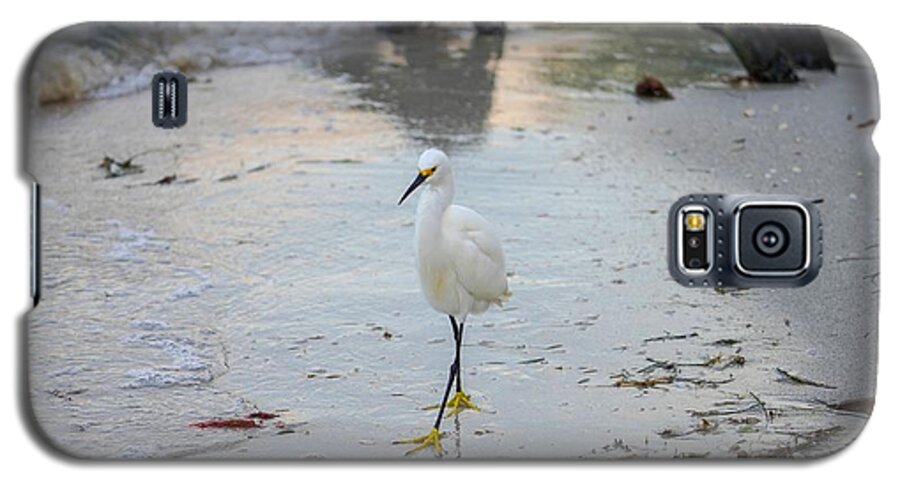 Bird Galaxy S5 Case featuring the photograph Snowy Egret by Susan Rydberg