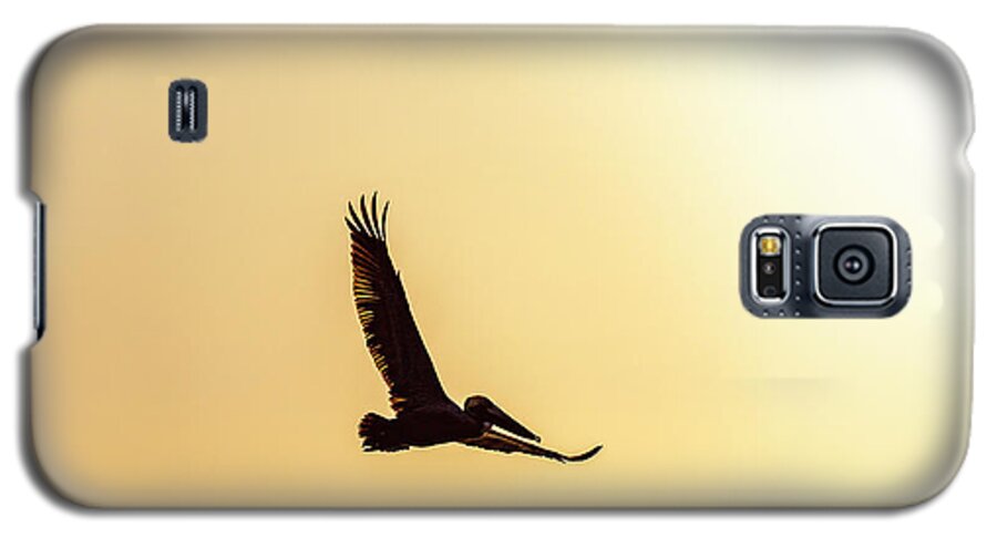 Pelican Galaxy S5 Case featuring the photograph Soar by Bryan Williams