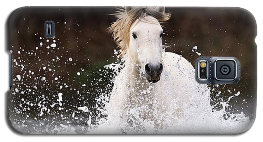 Action Galaxy S5 Case featuring the photograph Splashing Horse by Shannon Hastings