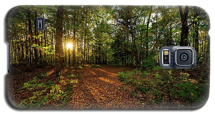 Sunset Galaxy S5 Case featuring the photograph Sunset in the forrest #1381 by Michael Fryd