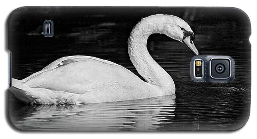  Galaxy S5 Case featuring the photograph Swan by Steve DaPonte