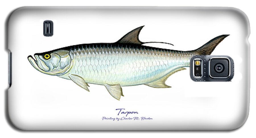 Charles Harden Galaxy S5 Case featuring the painting Tarpon by Charles Harden