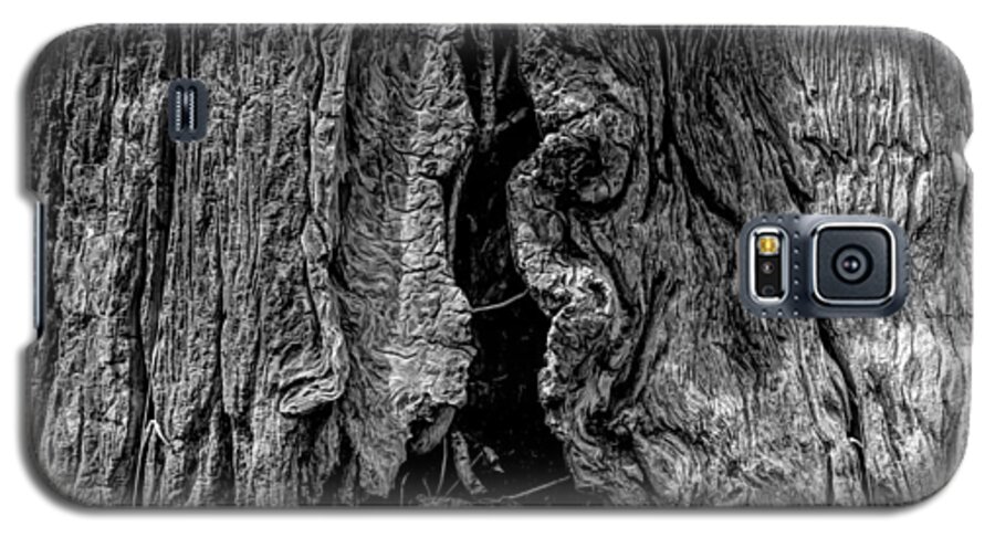 Redwood Galaxy S5 Case featuring the photograph The bark of a coastal redwood in black and white, natural pattern by Alessandra RC