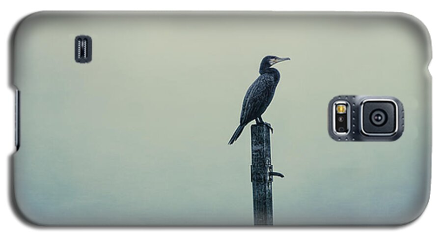 Great-cormorant Galaxy S5 Case featuring the photograph The Great Cormorant by Jaroslav Buna