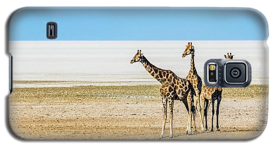 Giraffe Galaxy S5 Case featuring the photograph Three giraffes, Etosha National Park, Namibia by Lyl Dil Creations
