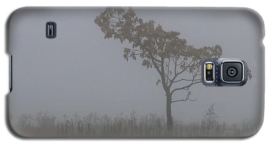 Tree Galaxy S5 Case featuring the photograph Tree in Fog by William Selander