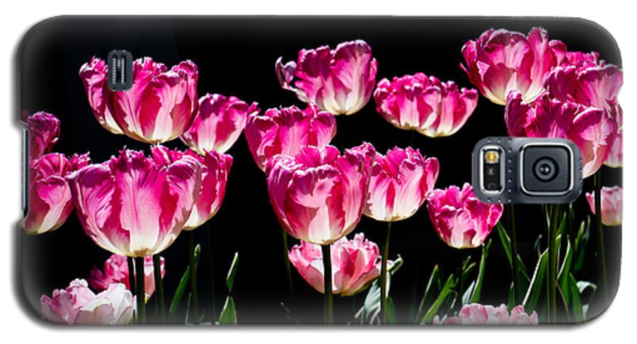 Tulips Galaxy S5 Case featuring the photograph Tulips in the Sun by Rona Black
