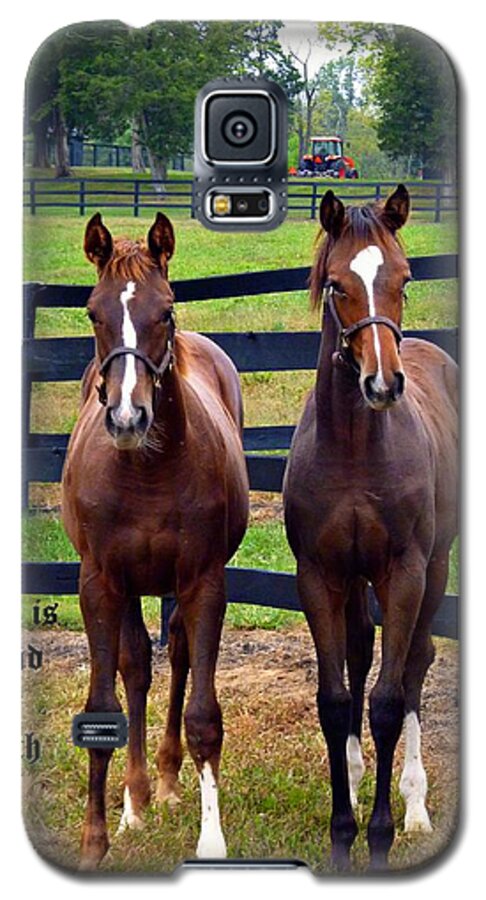 Horses Galaxy S5 Case featuring the photograph Two Friends with Proverbs 18 vs 24 by Mike McBrayer