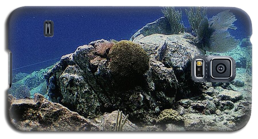 Underwater In St. Thomas Galaxy S5 Case featuring the photograph Underwater In St. Thomas by Barbra Telfer