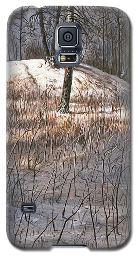 Hans Egil Saele Galaxy S5 Case featuring the painting Viking Grave at Borre by Hans Egil Saele