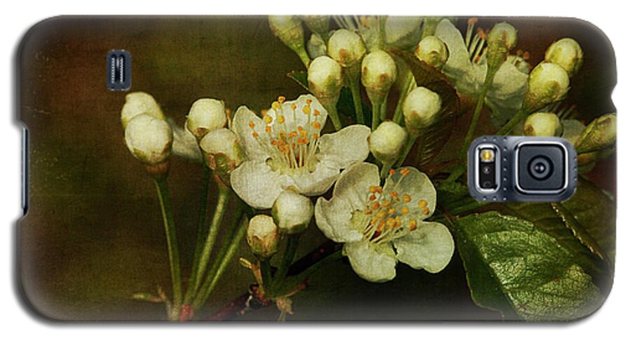 Floral Galaxy S5 Case featuring the photograph White Blossoms by Cindi Ressler