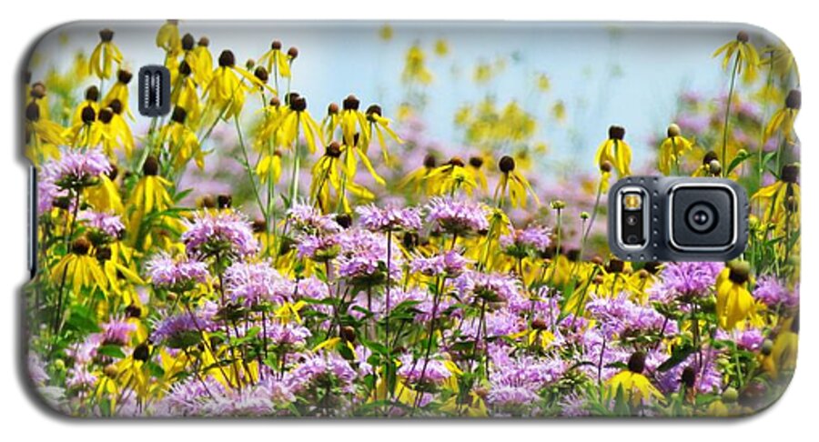 Coneflowers Galaxy S5 Case featuring the photograph Wildflower Palette by Lori Frisch