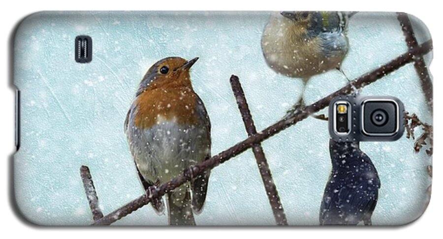 European Robin Galaxy S5 Case featuring the mixed media Winter Birds by Eva Lechner