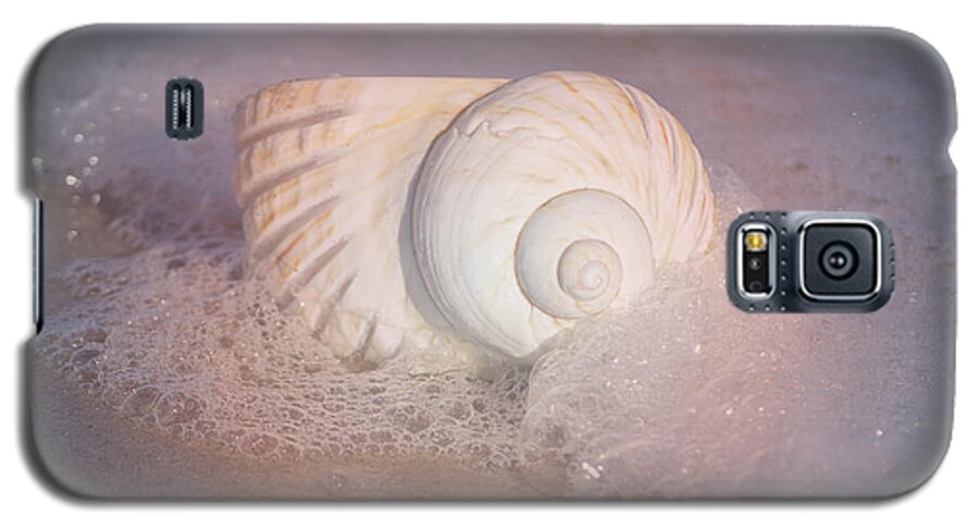 Shells Galaxy S5 Case featuring the photograph Worn By The Sea by Kathy Baccari