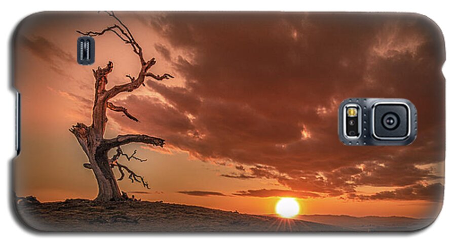 Dramatic Galaxy S5 Case featuring the photograph Intensity #1 by Tim Bryan