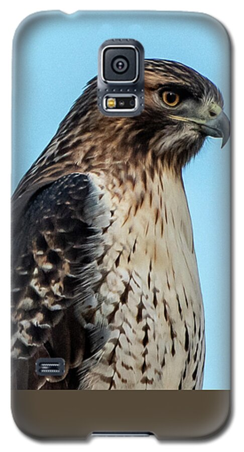 Hawk Galaxy S5 Case featuring the photograph Red-tailed Hawk #2 by Ken Stampfer