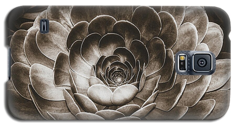 Spiritual Galaxy S5 Case featuring the photograph Santa Barbara Succulent#18 by Jennifer Wright
