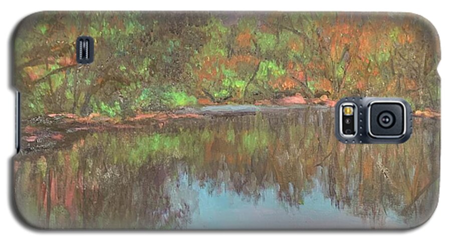 Walkill River New Paltz Upstat New York Nature Galaxy S5 Case featuring the painting Walkill River #1 by Beth Riso