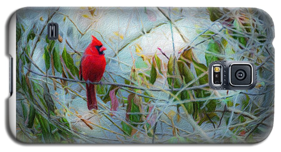 Cardinal Galaxy S5 Case featuring the photograph A Visitor Sent From Heaven by Diane Lindon Coy