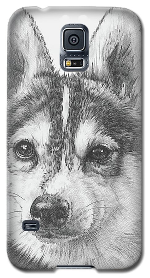 Designer Dog Galaxy S5 Case featuring the drawing Alaskan Klee Kai by Barbara Keith