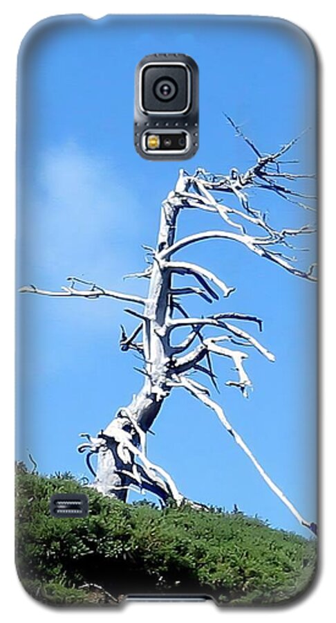 Scenic Galaxy S5 Case featuring the photograph Alien Tree by AJ Schibig
