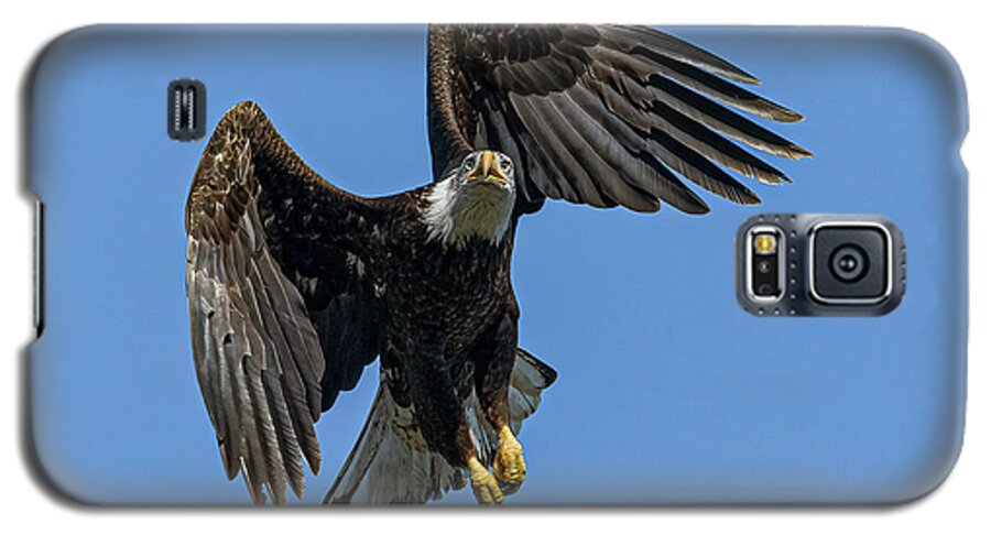 Raptor Galaxy S5 Case featuring the photograph American Bald Eagle 6 by Rick Mosher