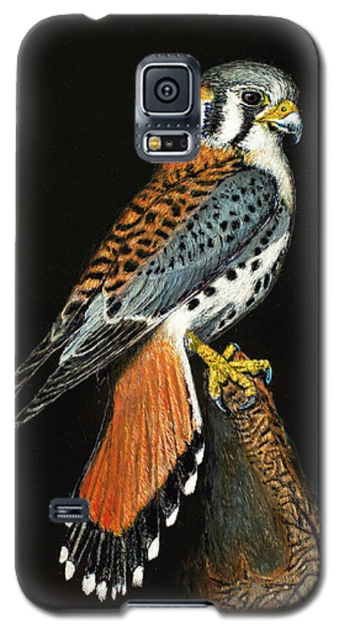 Bird Galaxy S5 Case featuring the painting American Kestrel by Bob Williams