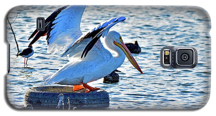 American White Pelican Galaxy S5 Case featuring the photograph American white pelican by Amazing Action Photo Video