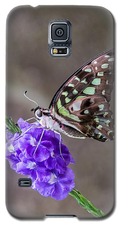 Green Galaxy S5 Case featuring the photograph Butterfly - Tailed Jay I by Patti Deters