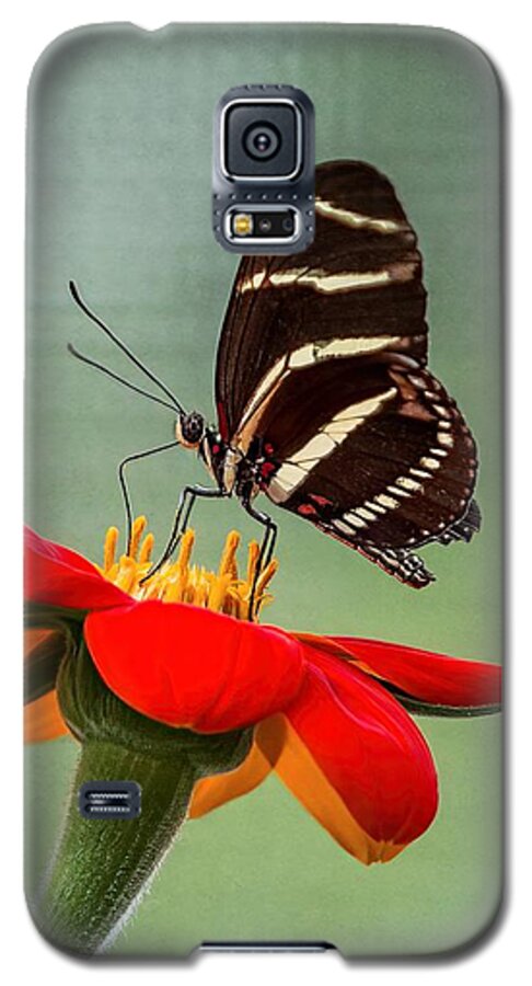 Butterfly Galaxy S5 Case featuring the photograph Butterfly Zebra Longwing on Zinnia by Patti Deters