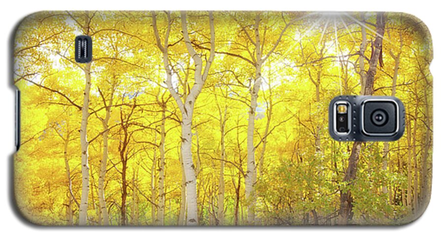 Aspens Galaxy S5 Case featuring the photograph Aspen Morning by Darren White
