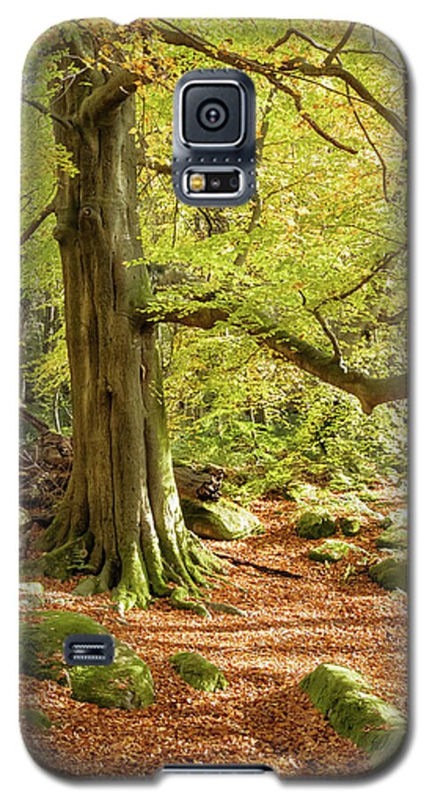 Autumn Galaxy S5 Case featuring the photograph Autumn colours in Derbyshire by Sue Leonard