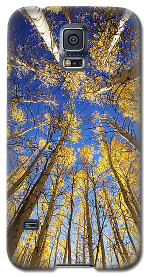 Art Galaxy S5 Case featuring the photograph Autumn Glory by Rick Furmanek
