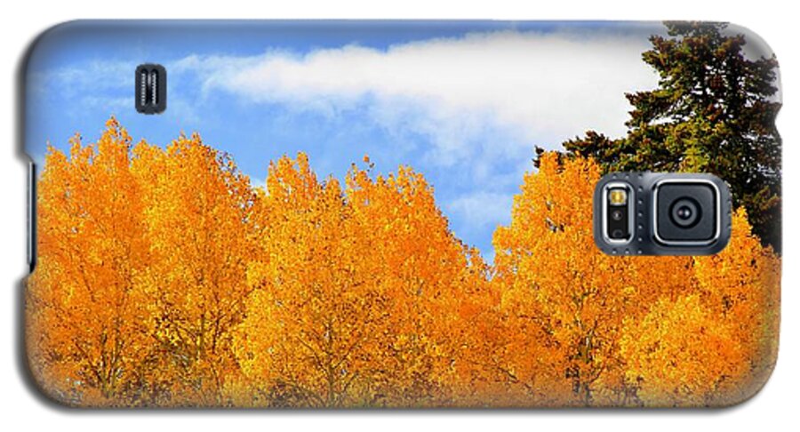 Owyhee Mountains Galaxy S5 Case featuring the photograph Autumn in the Owyhee Mountains by Ed Riche