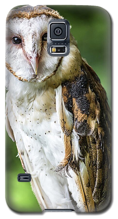 Raptors Owl Barn Owl Galaxy S5 Case featuring the photograph Barn owl by Robert Miller