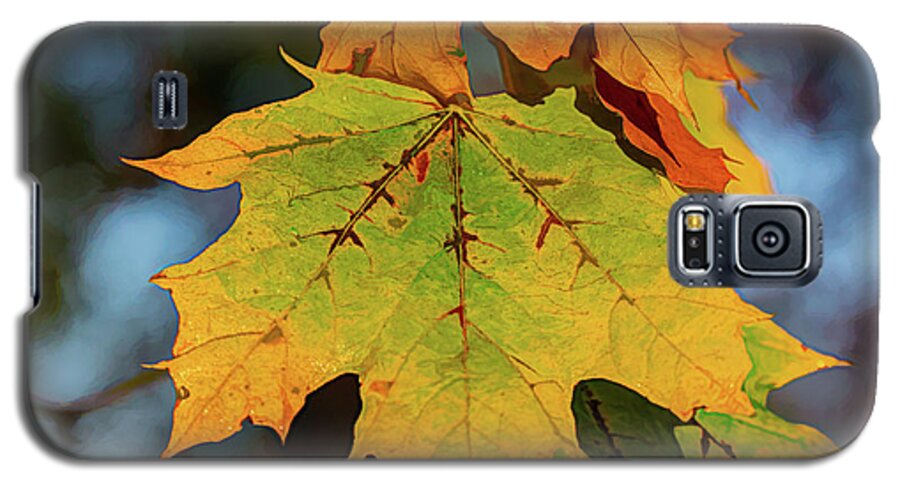 Autumn Galaxy S5 Case featuring the digital art Berkshire Mountains Maple by Douglas Wielfaert