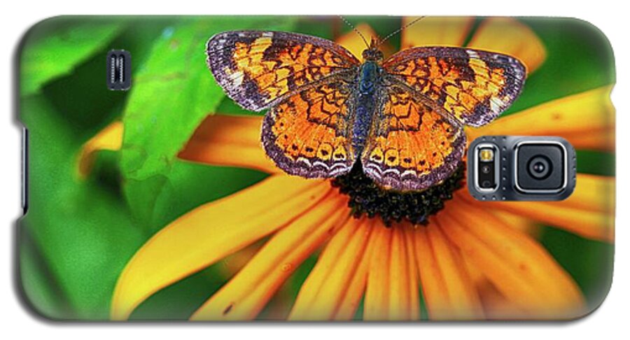 Butterfly Galaxy S5 Case featuring the photograph Black Eyed Susan with Butterfly by Mary Bedy