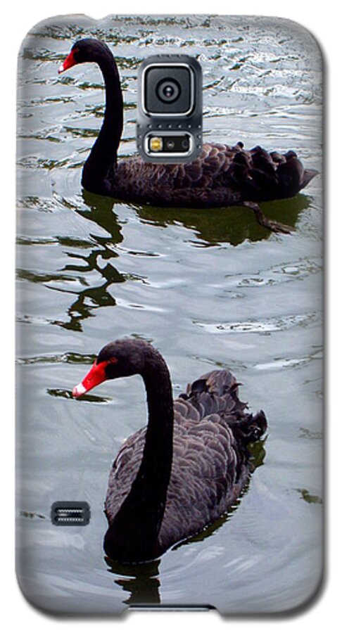 Swans Galaxy S5 Case featuring the photograph Black Swans by Deborah Crew-Johnson